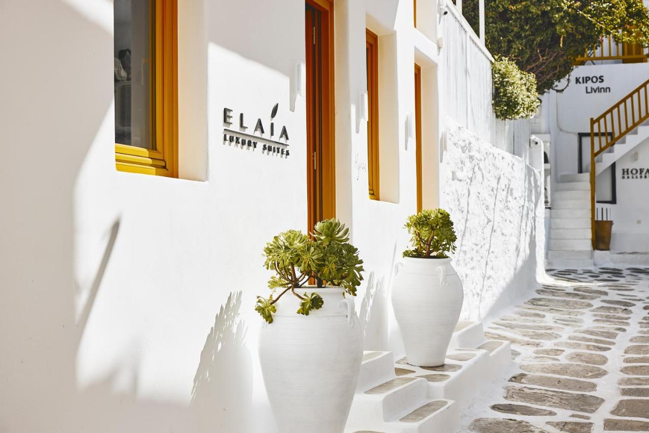 Elaia Luxury Suites Mykonos Mykonos Town Dış mekan fotoğraf