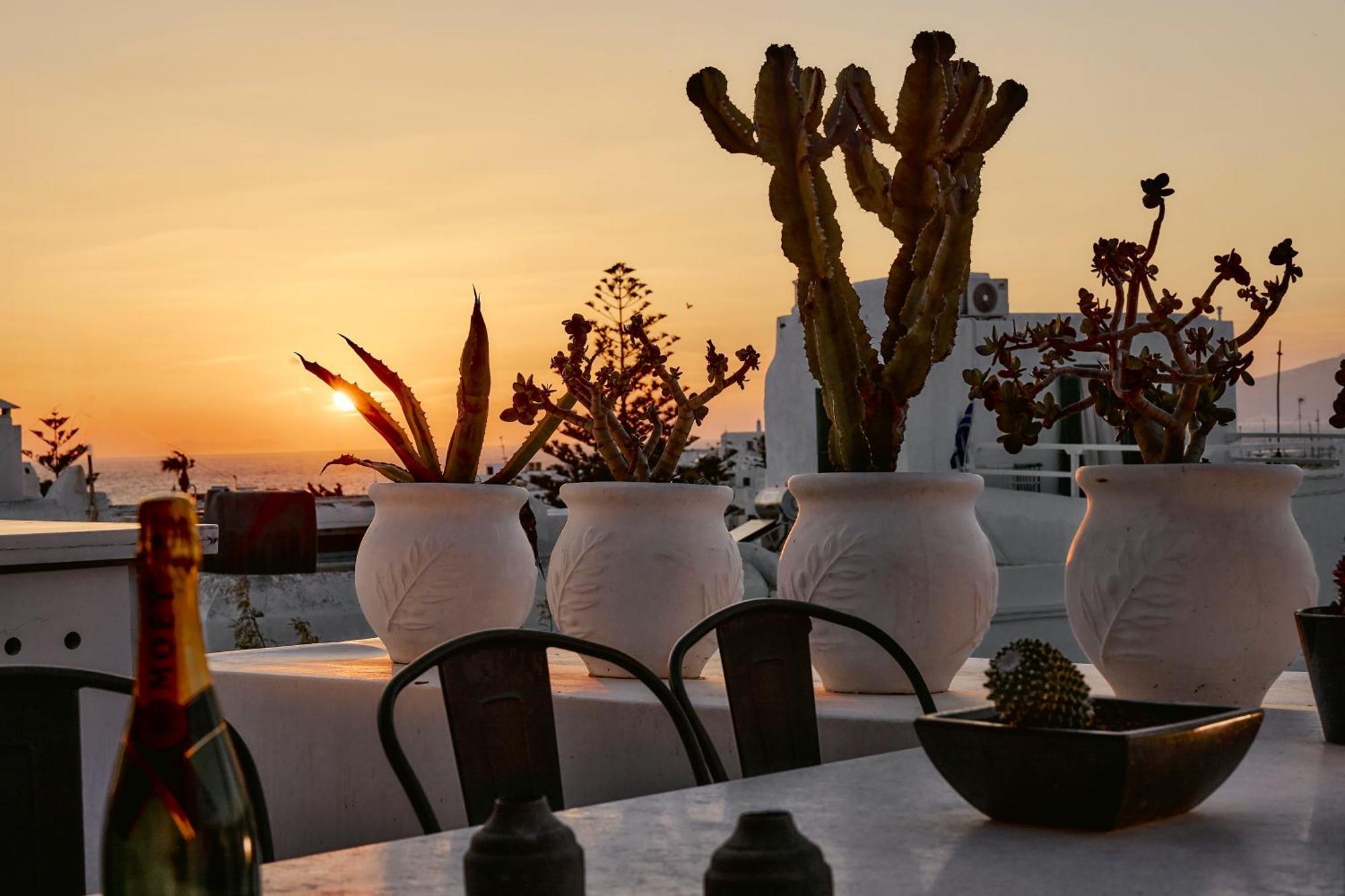 Elaia Luxury Suites Mykonos Mykonos Town Dış mekan fotoğraf